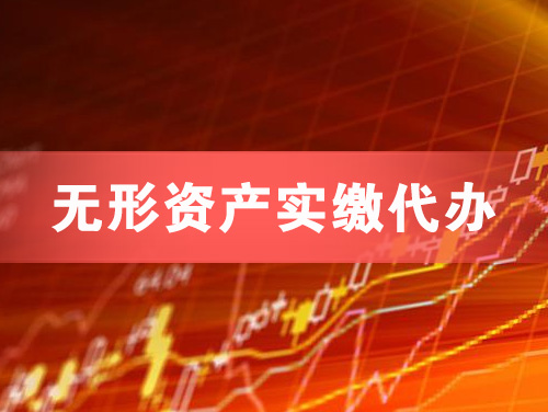 舒兰无形资产实缴资本代办