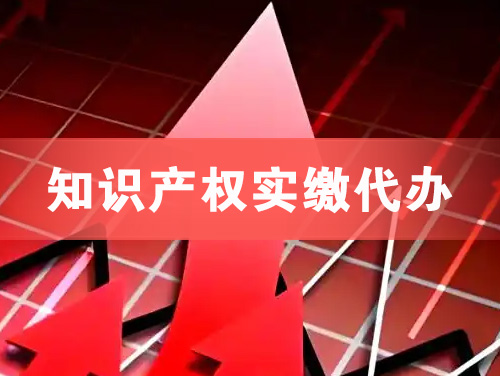 舒兰知识产权实缴资本代办